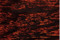 08